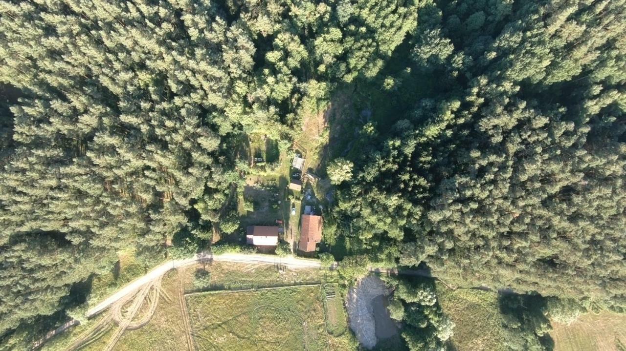 Agrojelonki Agroturystyka Gietrzwałd Buitenkant foto